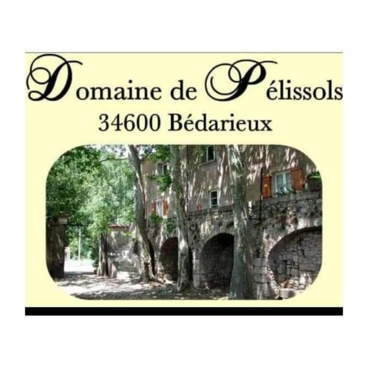 Chambres D'Hotes Domaine De Pelissols Bédarieux Exterior foto