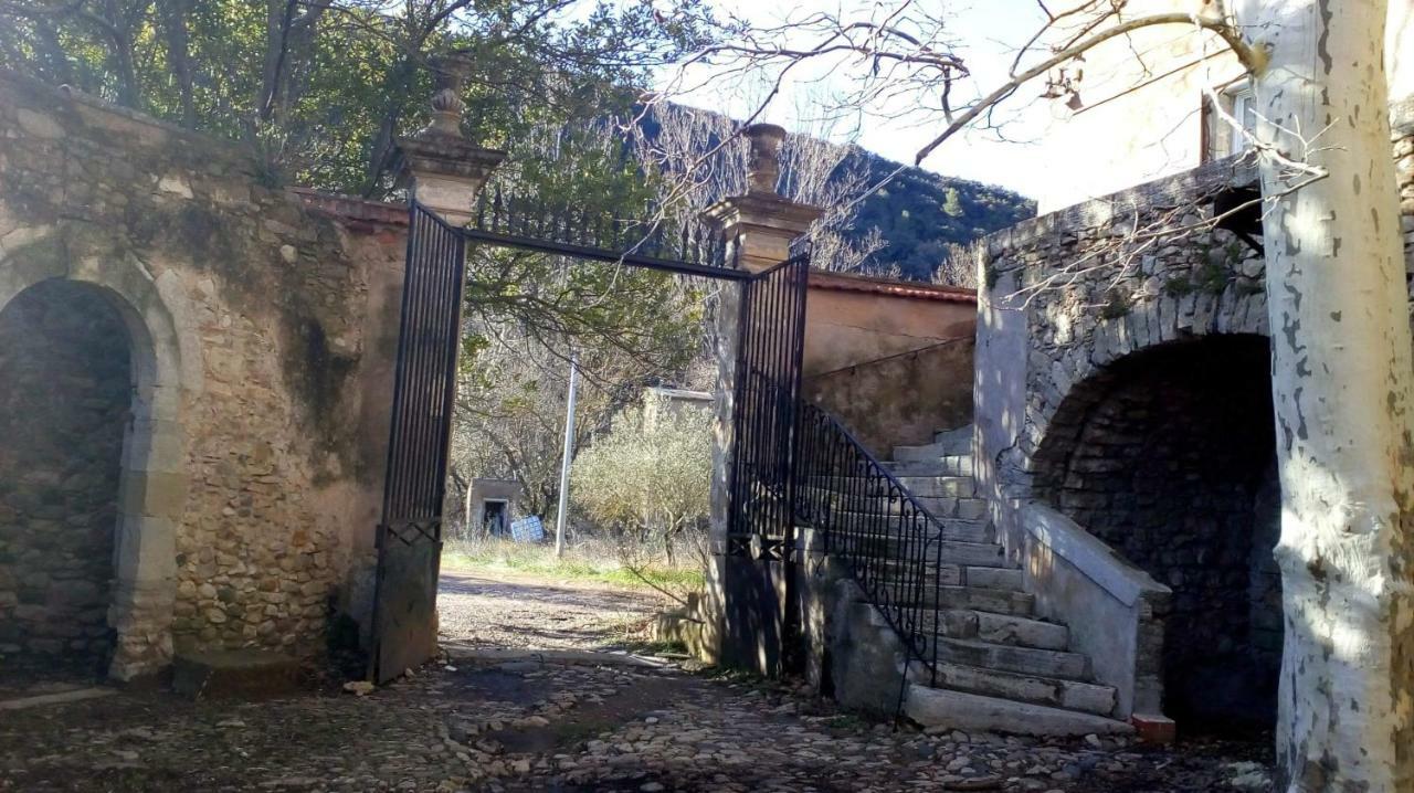 Chambres D'Hotes Domaine De Pelissols Bédarieux Exterior foto